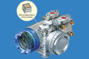 Owl Image